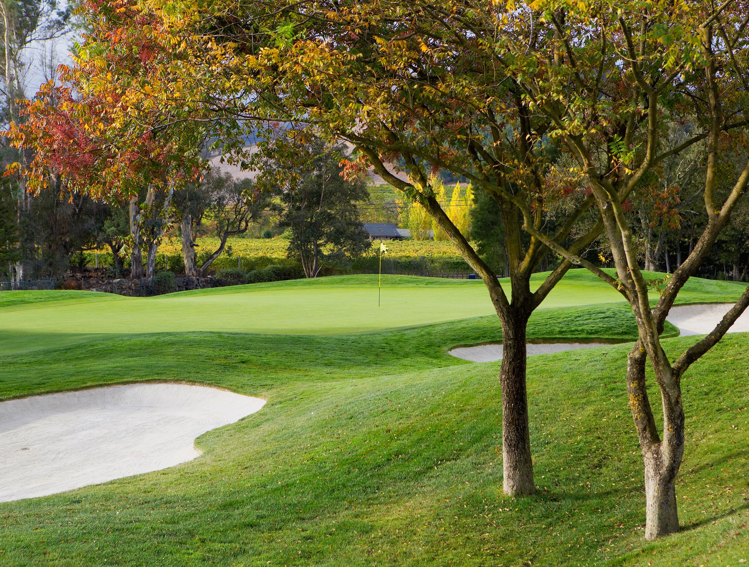 Golf course