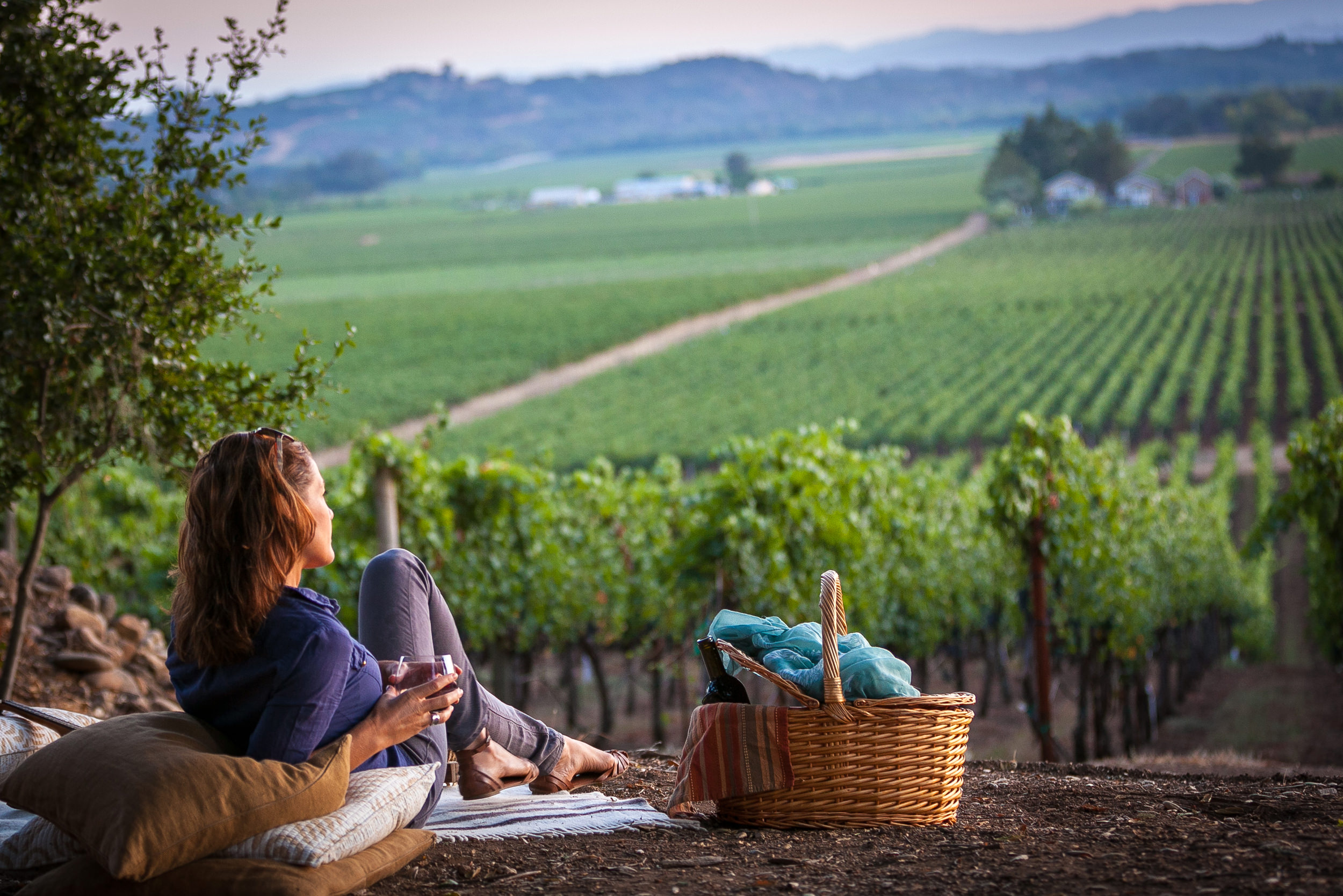 woman having a picnic