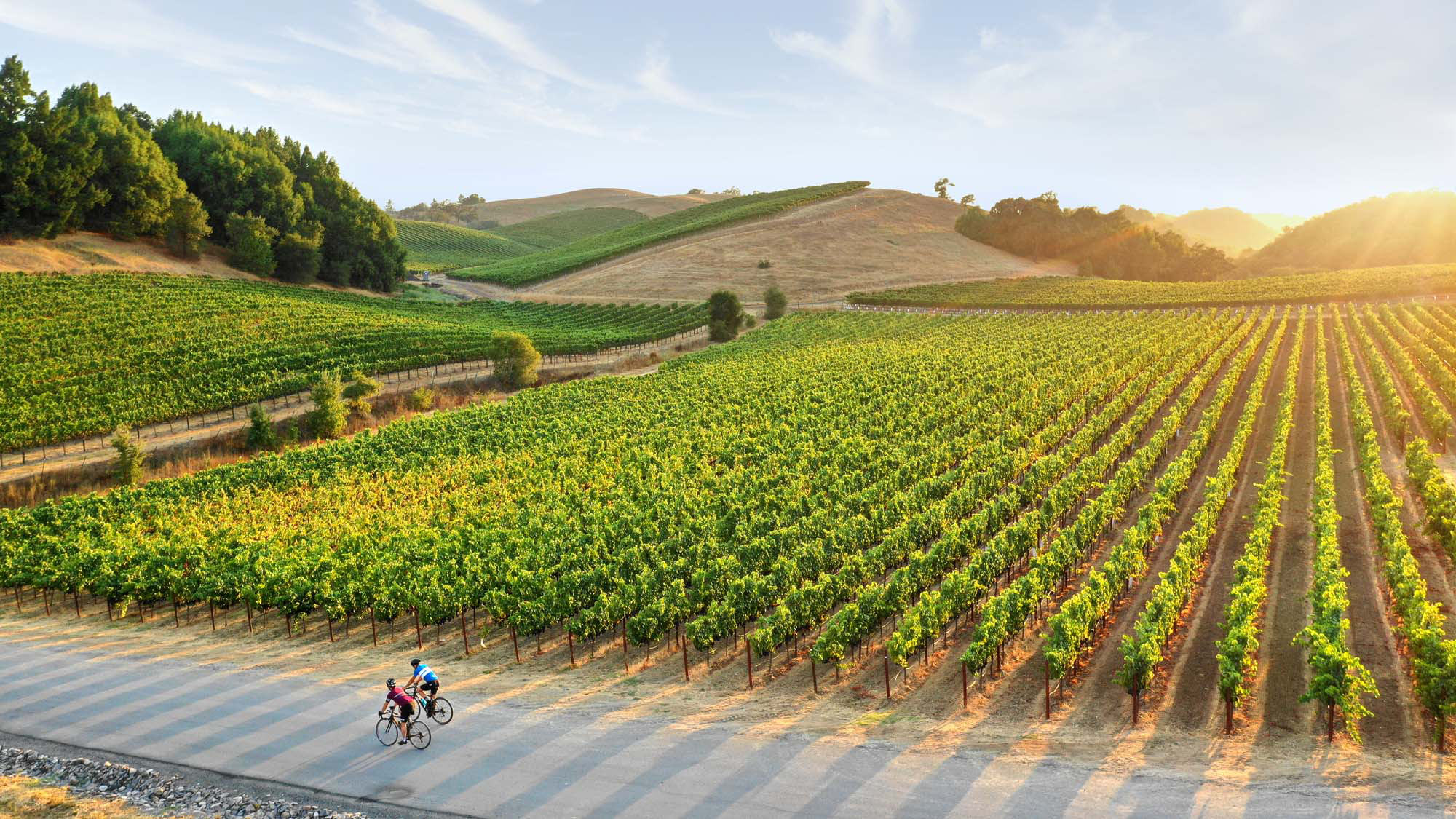 two man riding bikes past a field