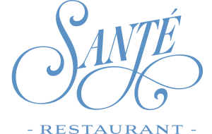 sante new logo primary
