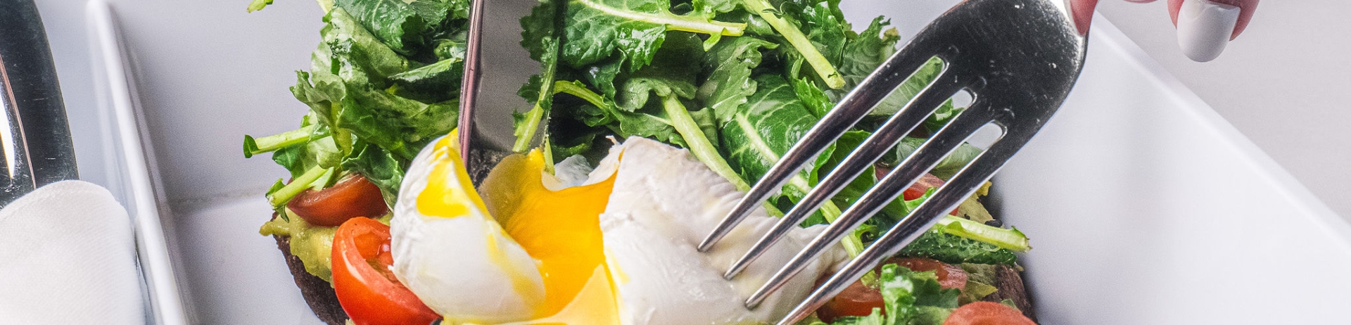 Plate of breakfast food with poached egg, avocado toast and microgreens