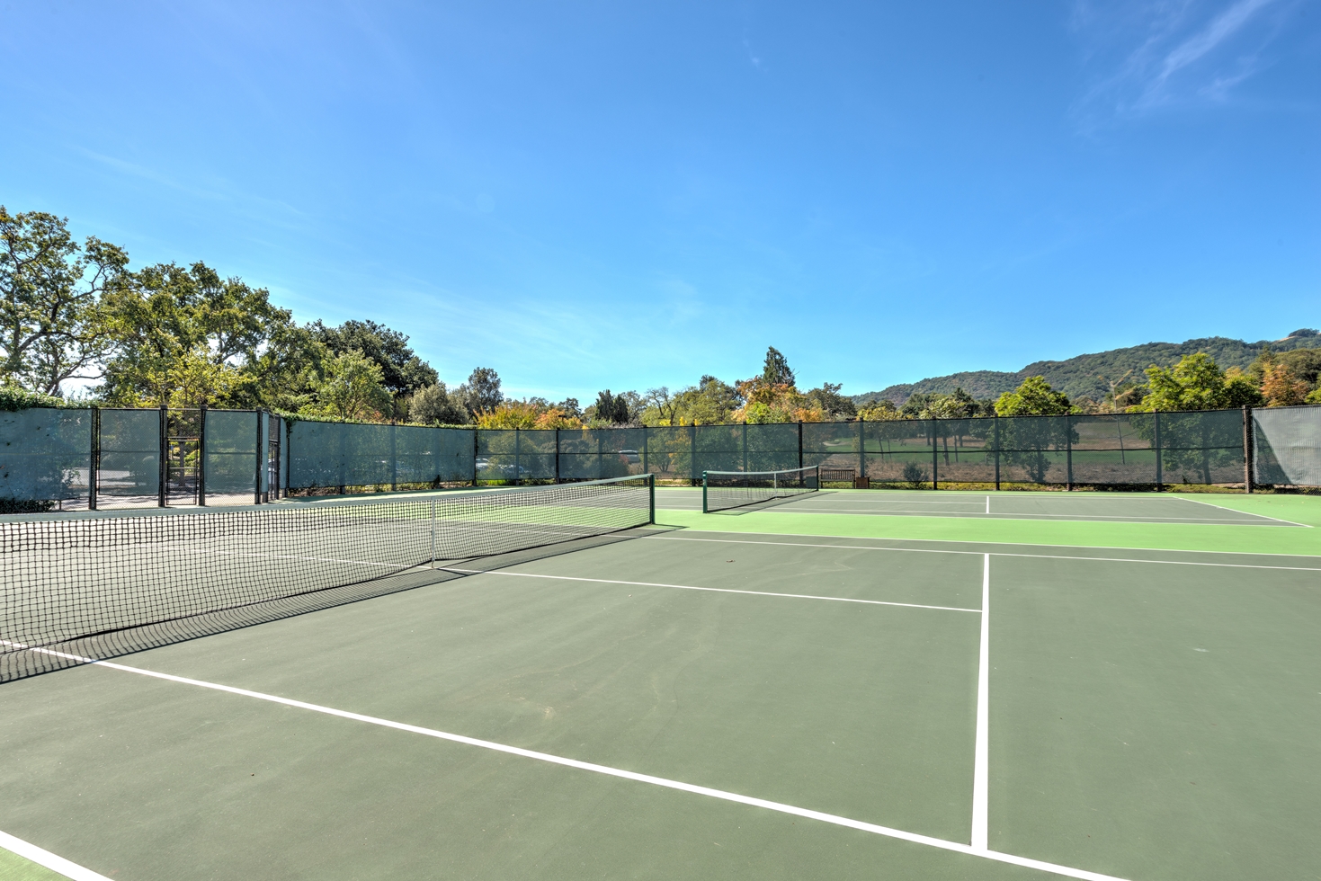 tennis