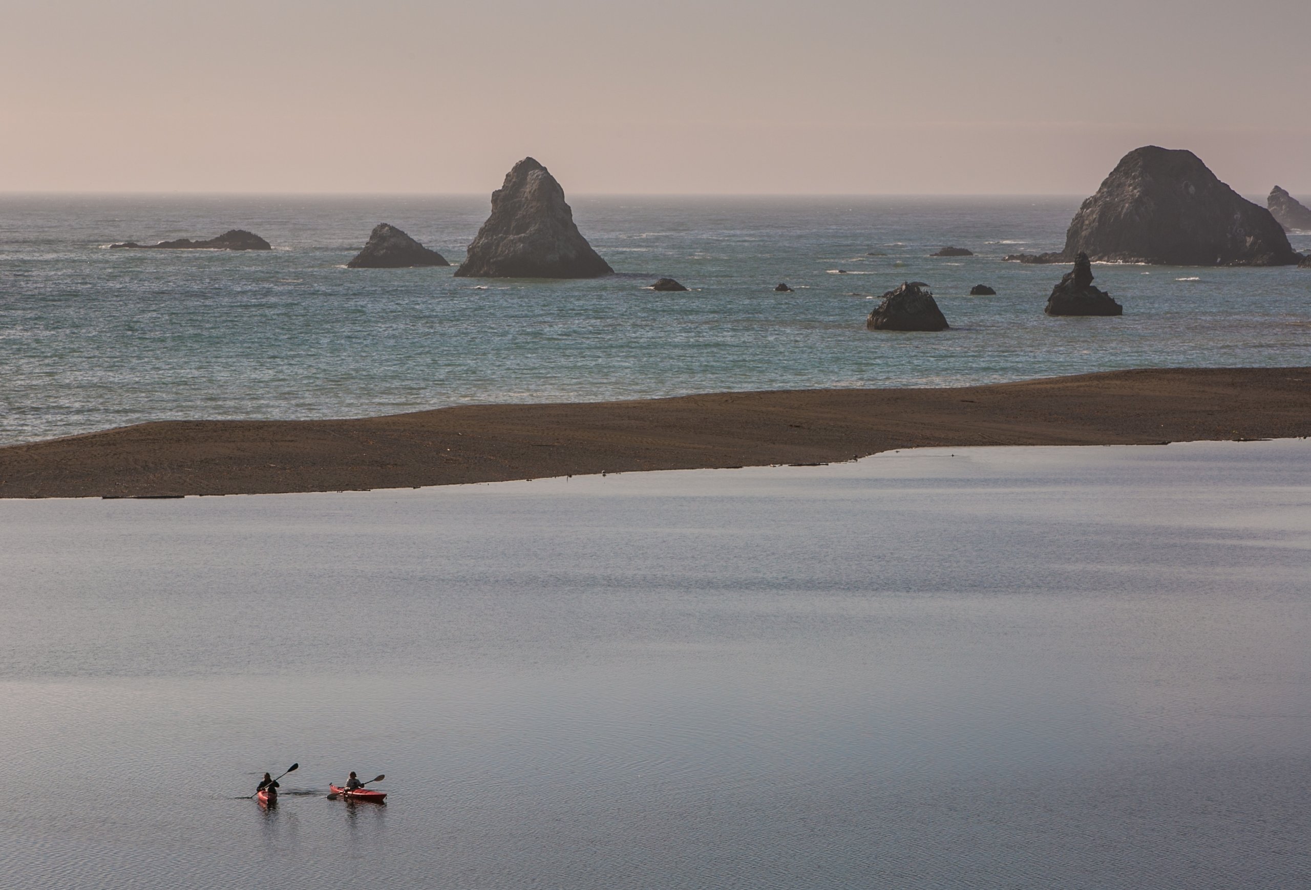 sonoma coast