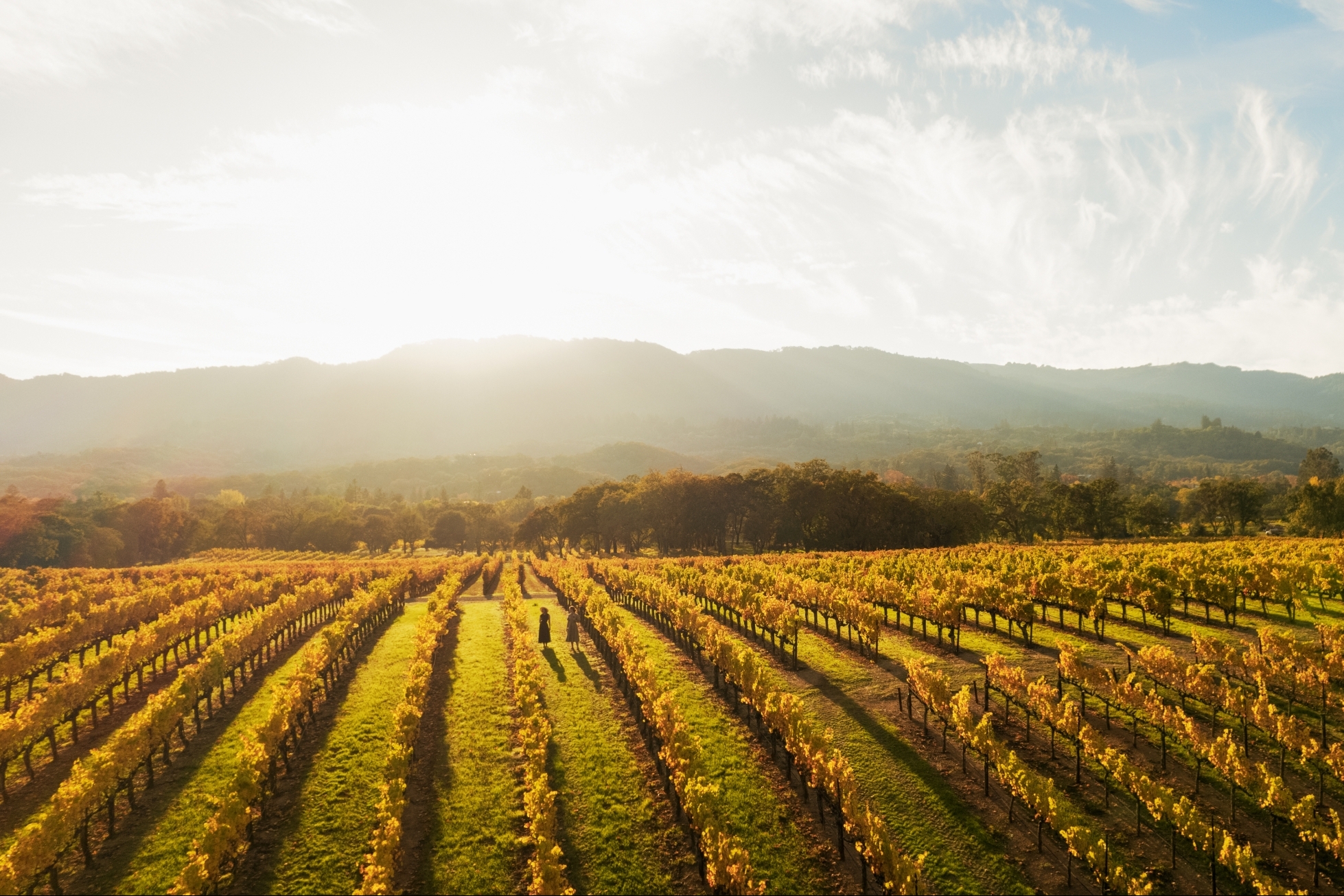 Sonoma