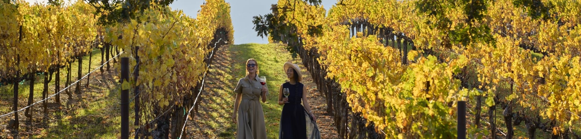 walking through vineyards