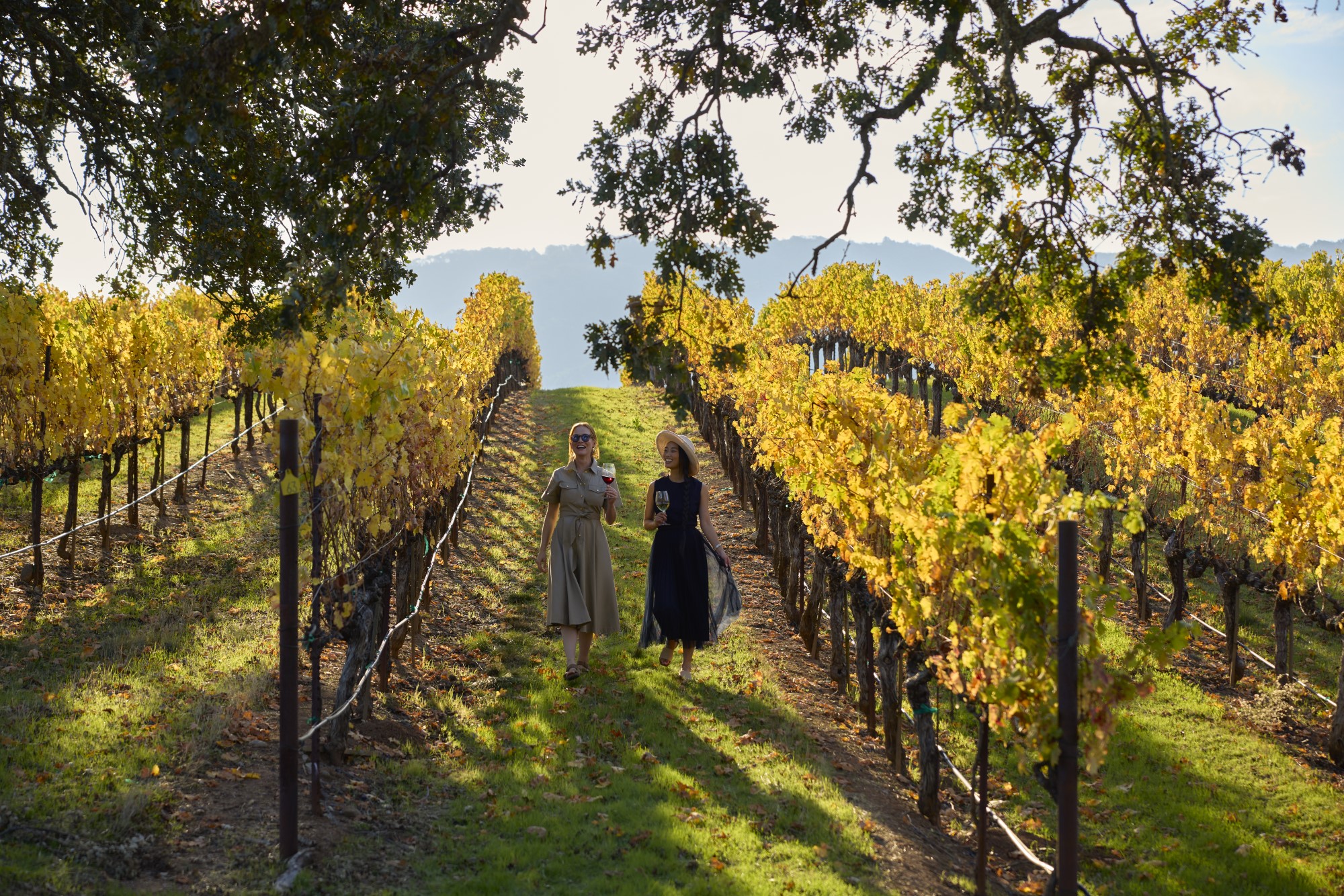walking through vineyards
