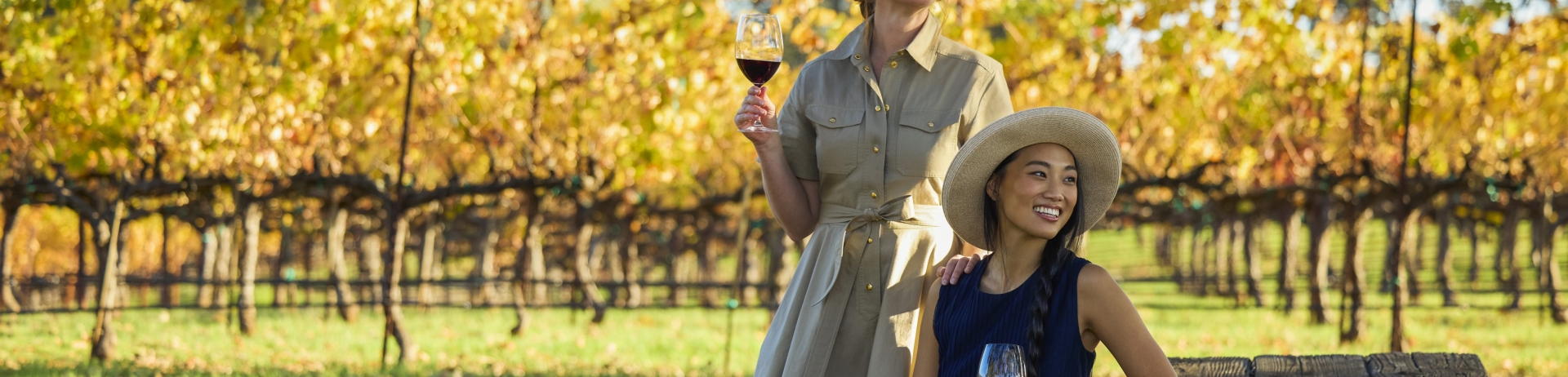 wine tasting in vineyards