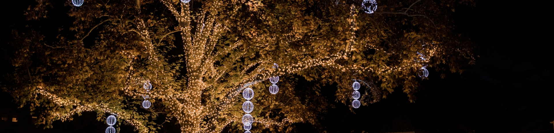 lighted tree at night time with twinkle lights and lighted baubles