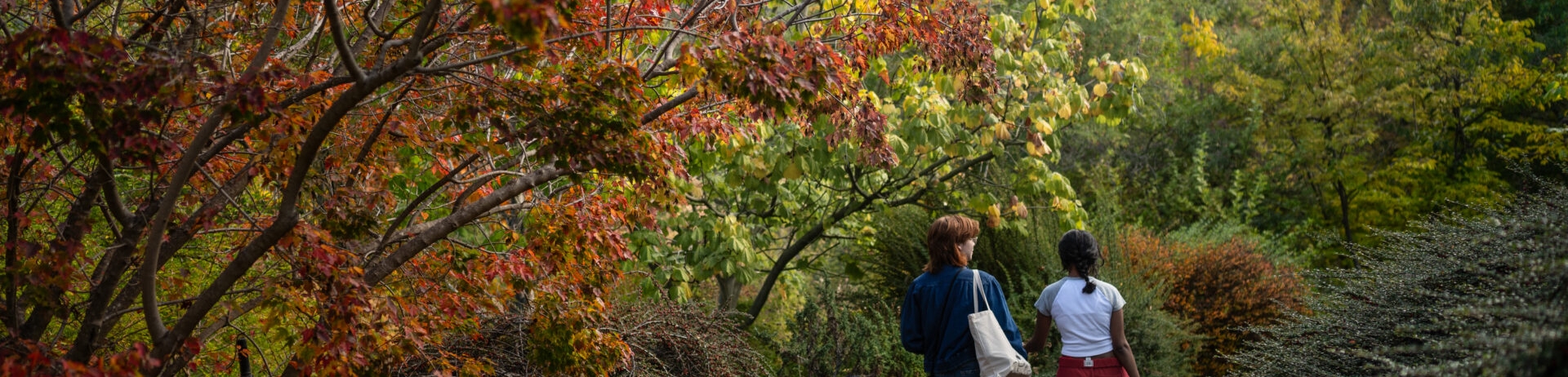 Sonoma botanical garden