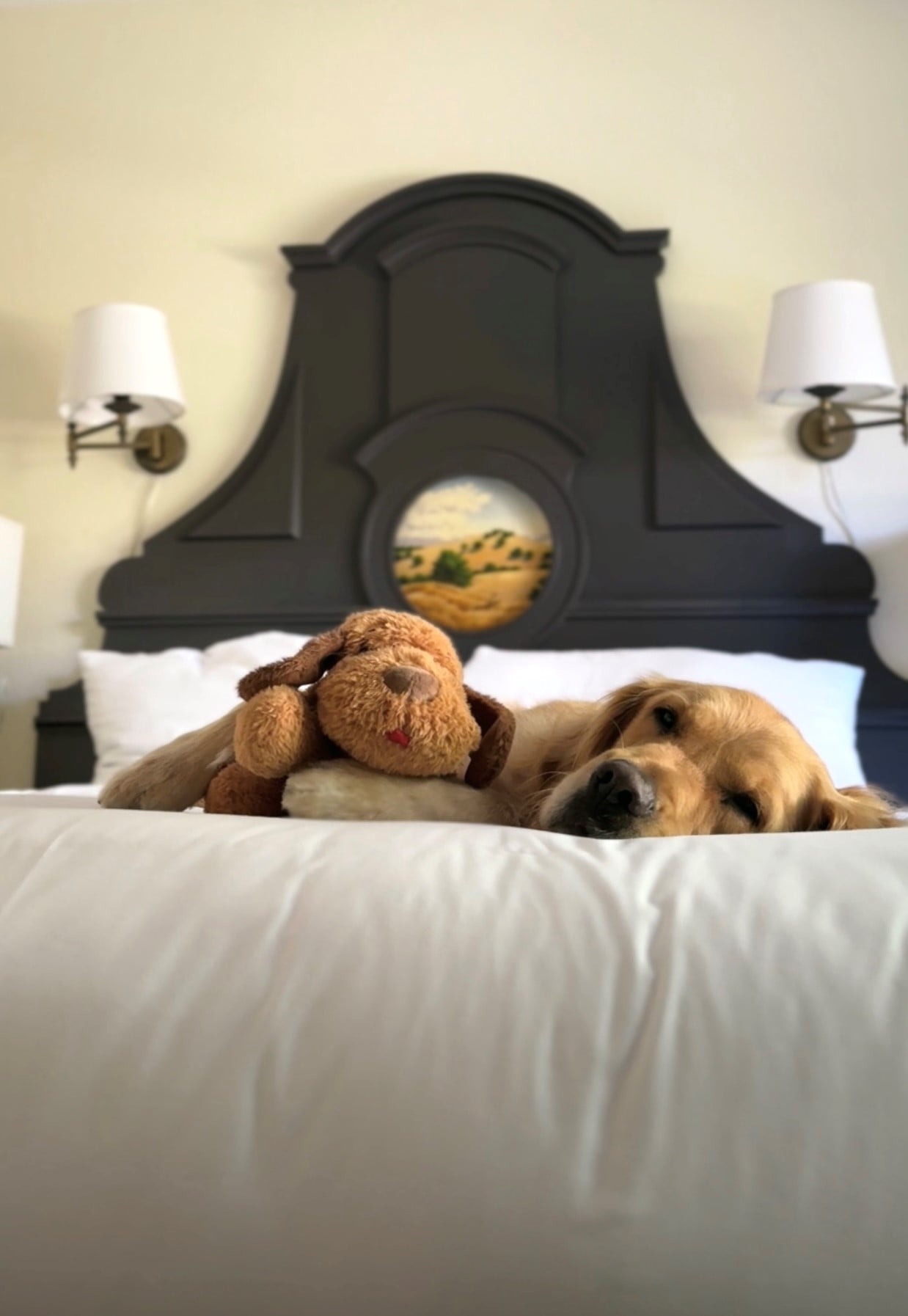 dog asleep on hotel bed with plush toy