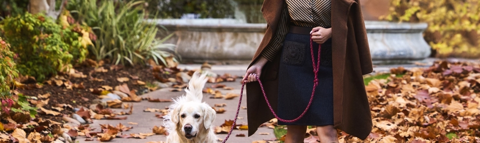 woman walking dog with falling leaves in background
