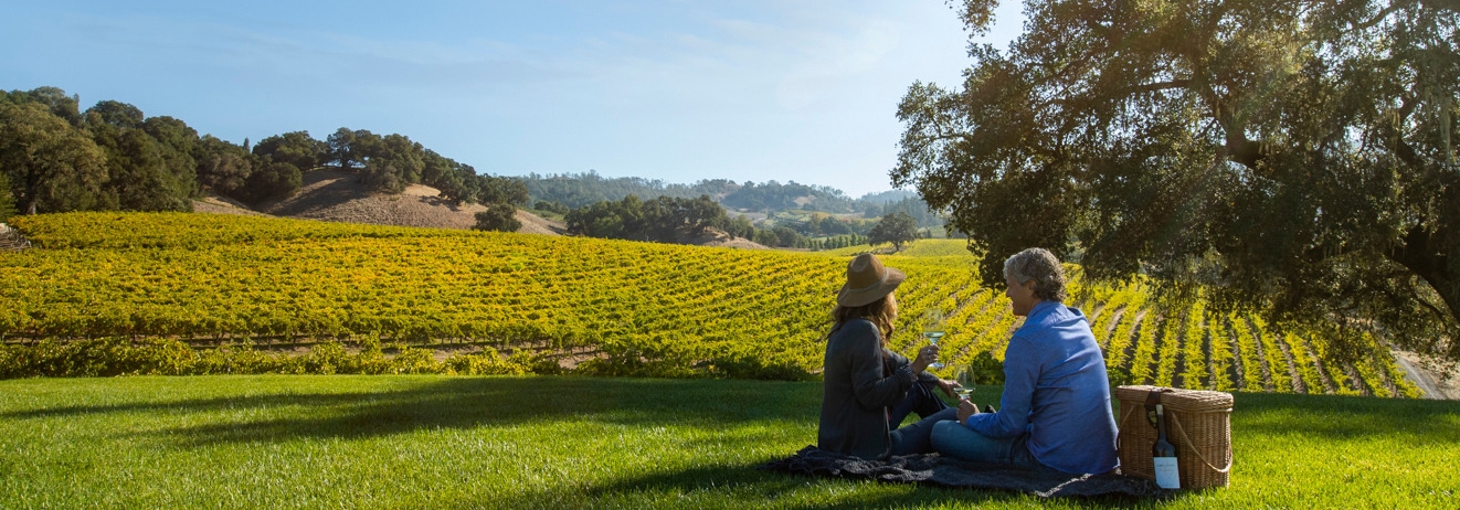 couple having a picnic overlooking vineyards in sonoma county