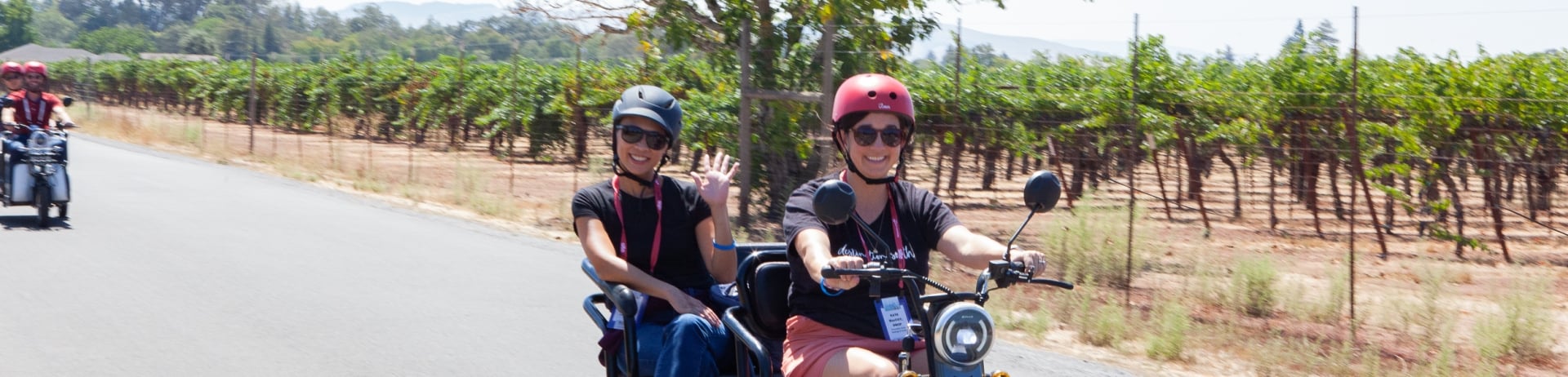 pushpak wine tours in sonoma california