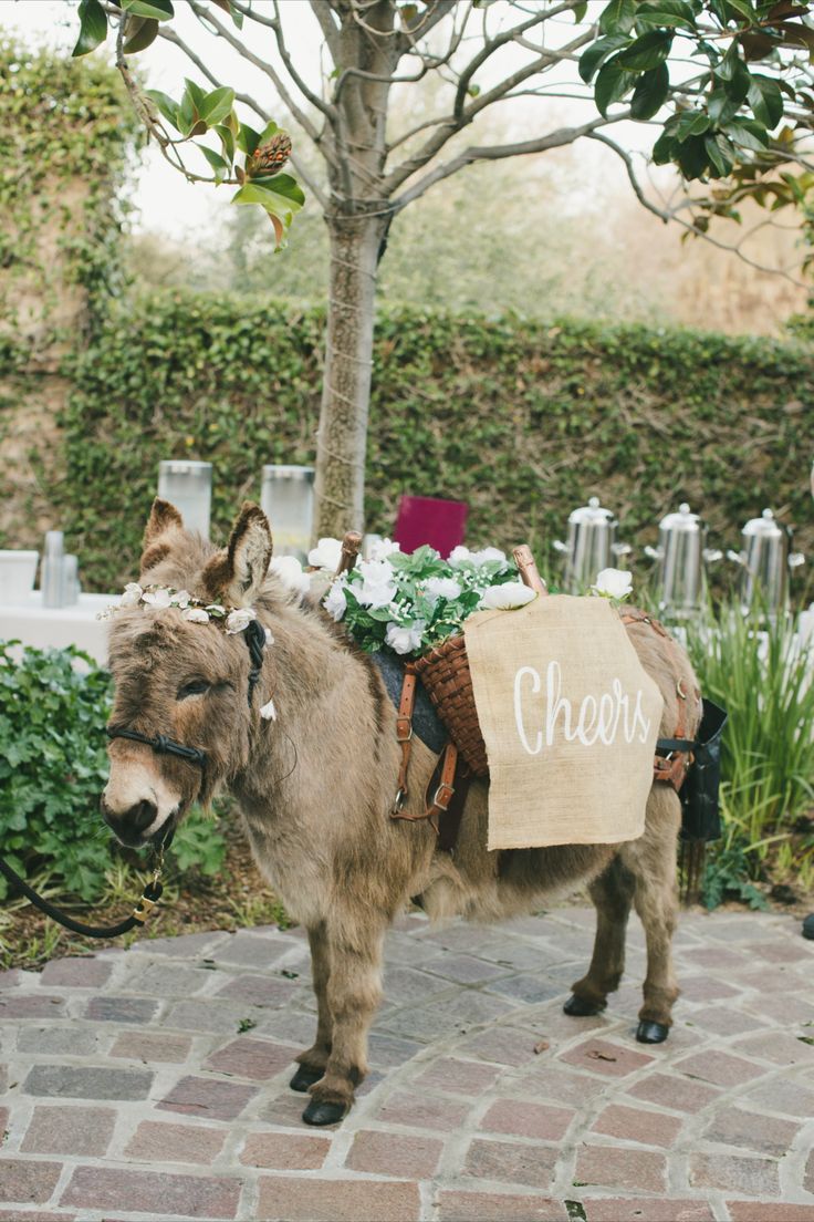 Beer Burro at a Fairmont Sonoma Wedding