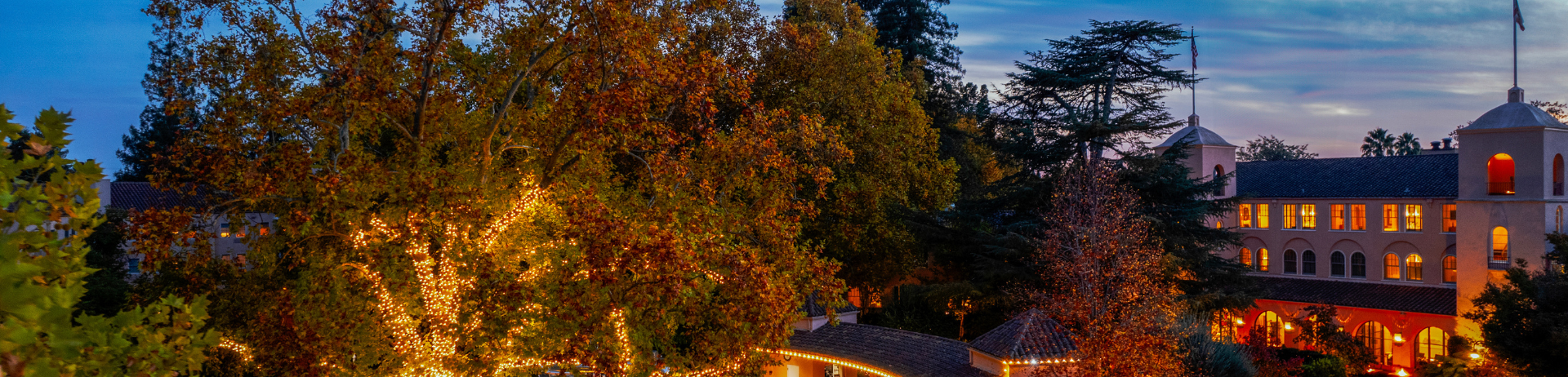 fairmont sonoma tree light up during festive season