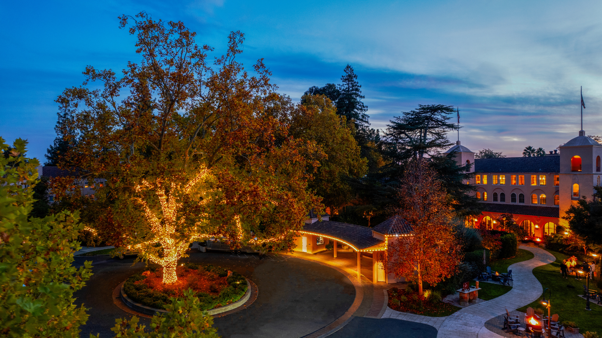 fairmont sonoma tree light up during festive season