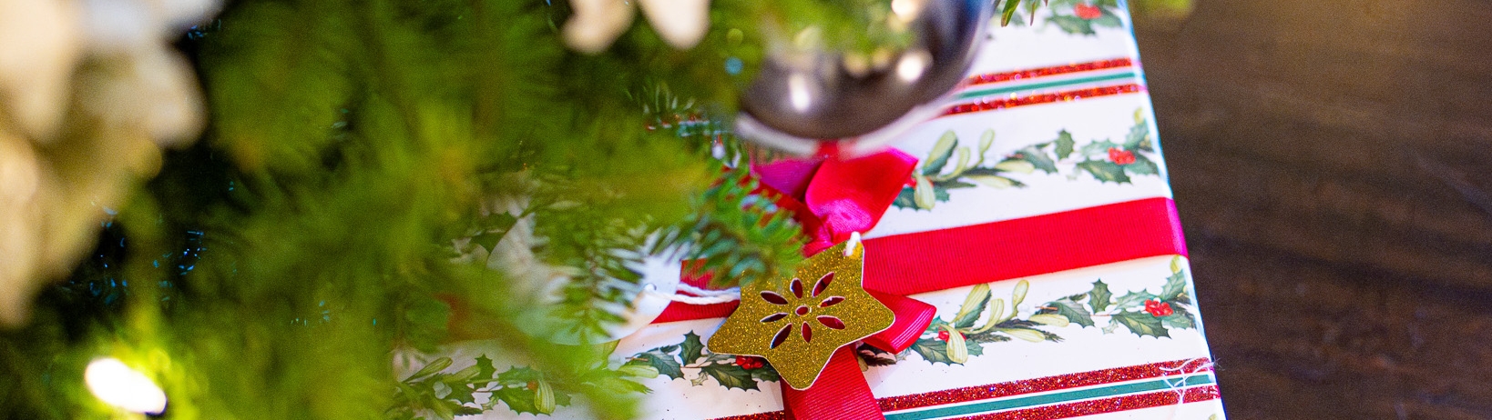 Christmas present under the tree