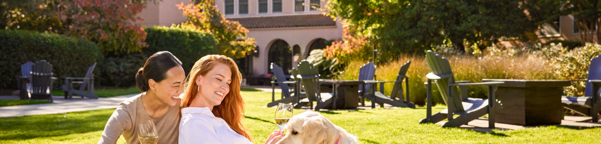 women having a picnic on the lawn of fairmont sonoma with their golden retriever