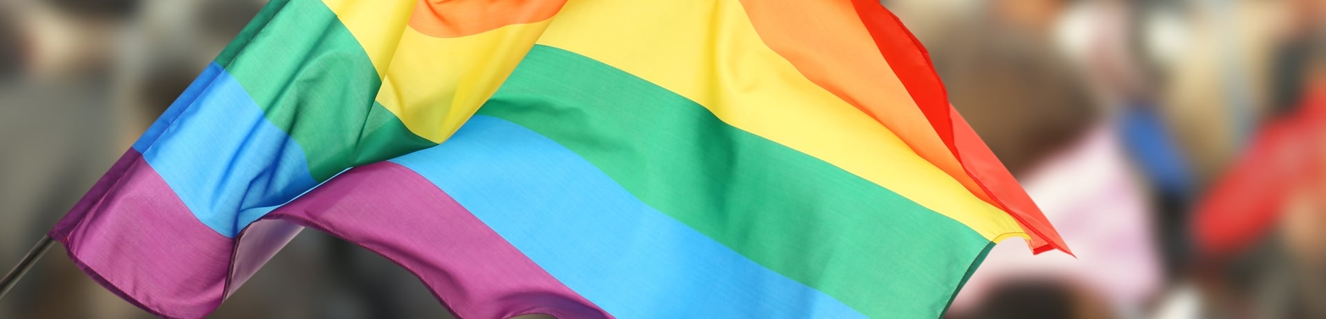 Sonoma Pride Festival